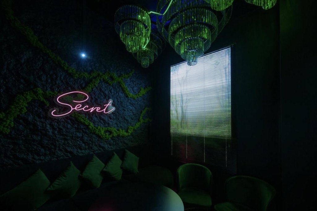 Dark — private cinema room